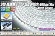 画像1: 24VテープLED 60LED/m 非防水 昼光色 6000K 10m (1)