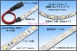 画像2: 24VテープLED 60LED/m 非防水 電球色 3000K 10m (2)